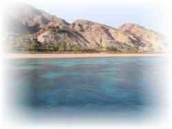 Hurghada - a escola e cursos de mergulho