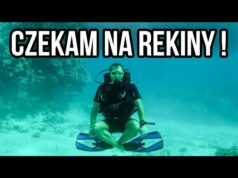 Gdzie najlepiej nurkować w Egipcie? Bezpieczeństwo.