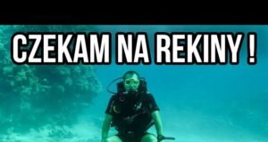 Gdzie najlepiej nurkować w Egipcie? Bezpieczeństwo.